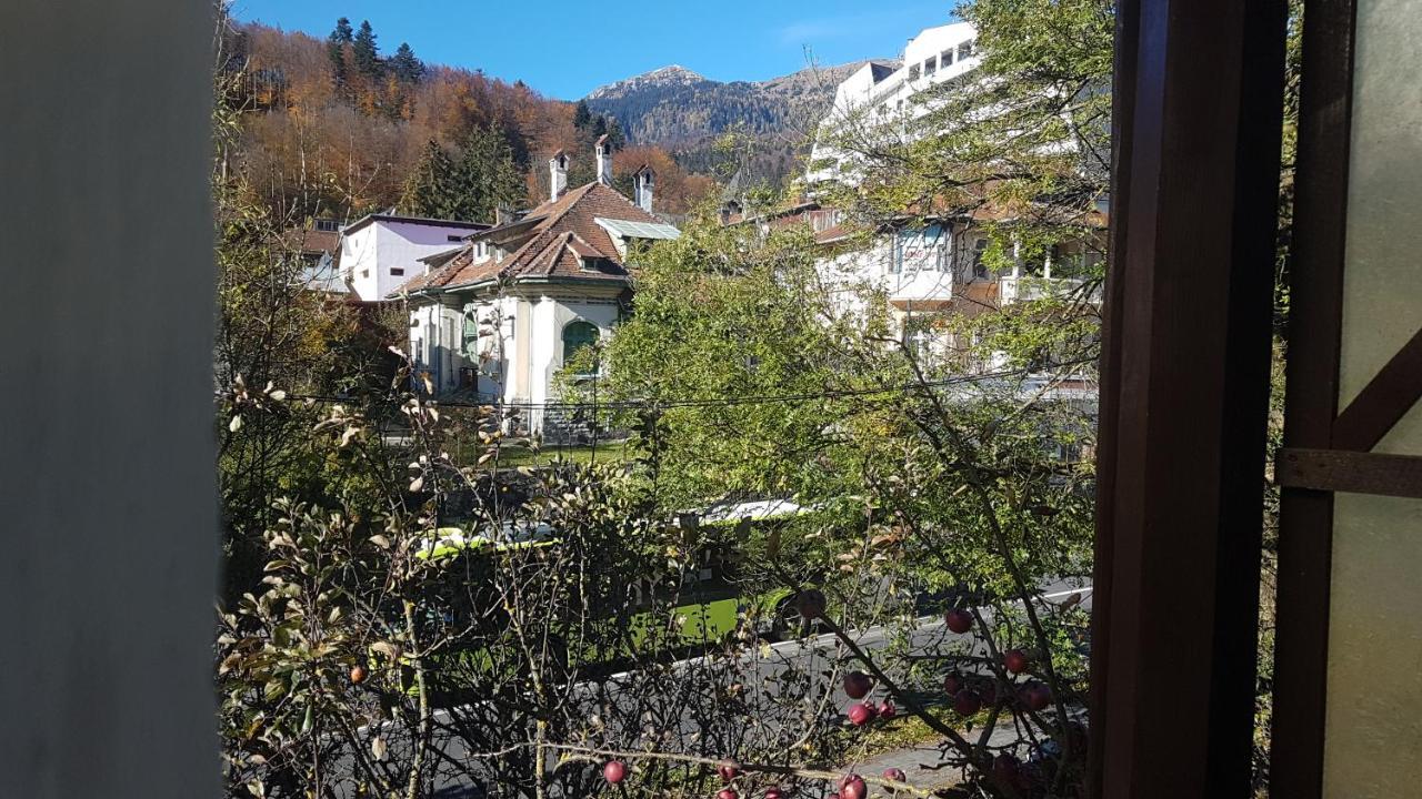 Pensiunea Casa Noastra Hotel Sinaia Exterior photo