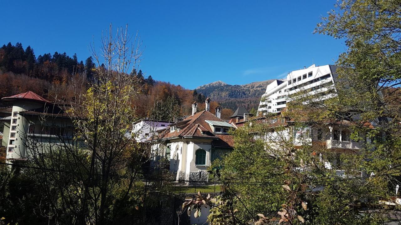 Pensiunea Casa Noastra Hotel Sinaia Exterior photo
